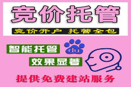 SEM服务案例：打造行业领先品牌